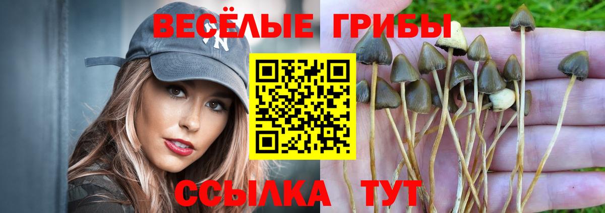Янаул  Галлюциногенные грибы Psilocybine cubensis  Вход с VPN  Галлюциногенные грибы Psilocybe 